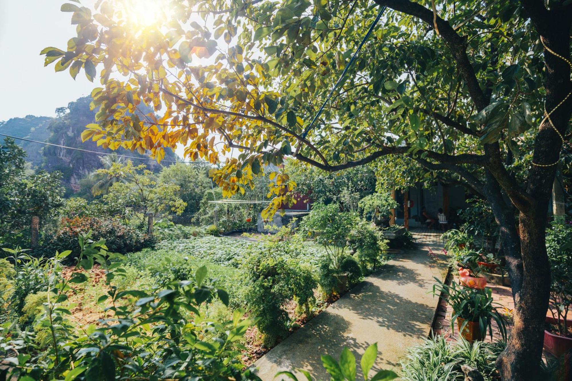 Blue Garden Homestay Ninh Binh Exterior photo