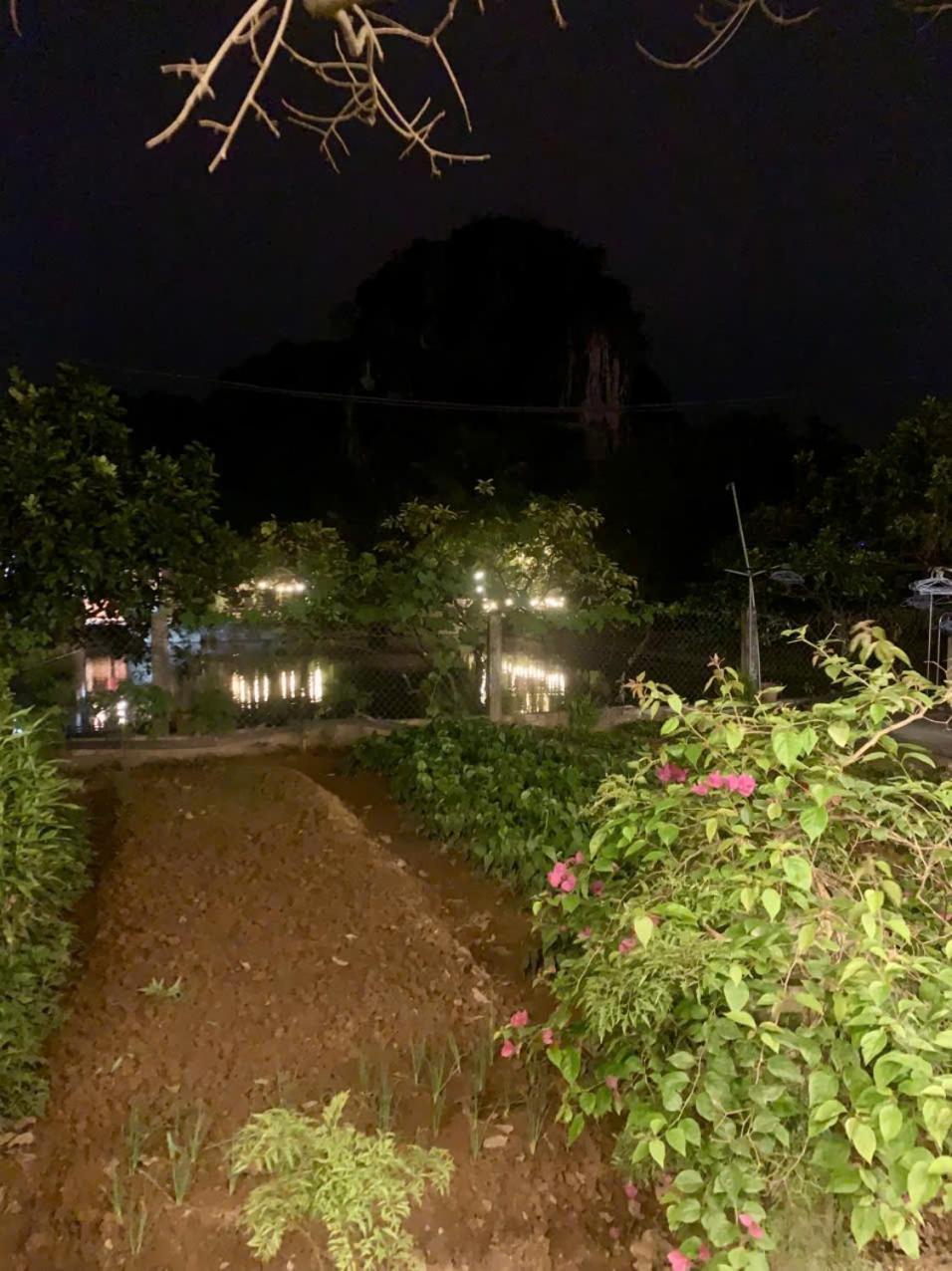 Blue Garden Homestay Ninh Binh Exterior photo