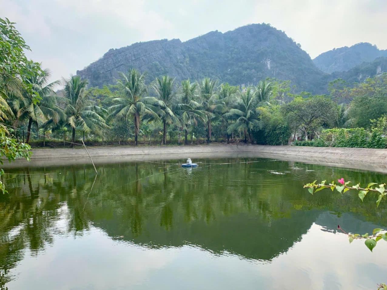Blue Garden Homestay Ninh Binh Exterior photo