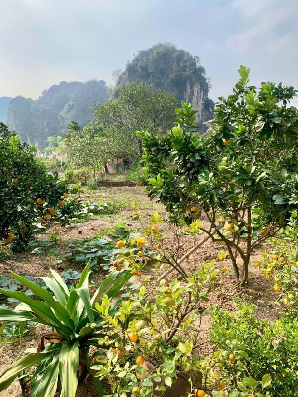 Blue Garden Homestay Ninh Binh Exterior photo