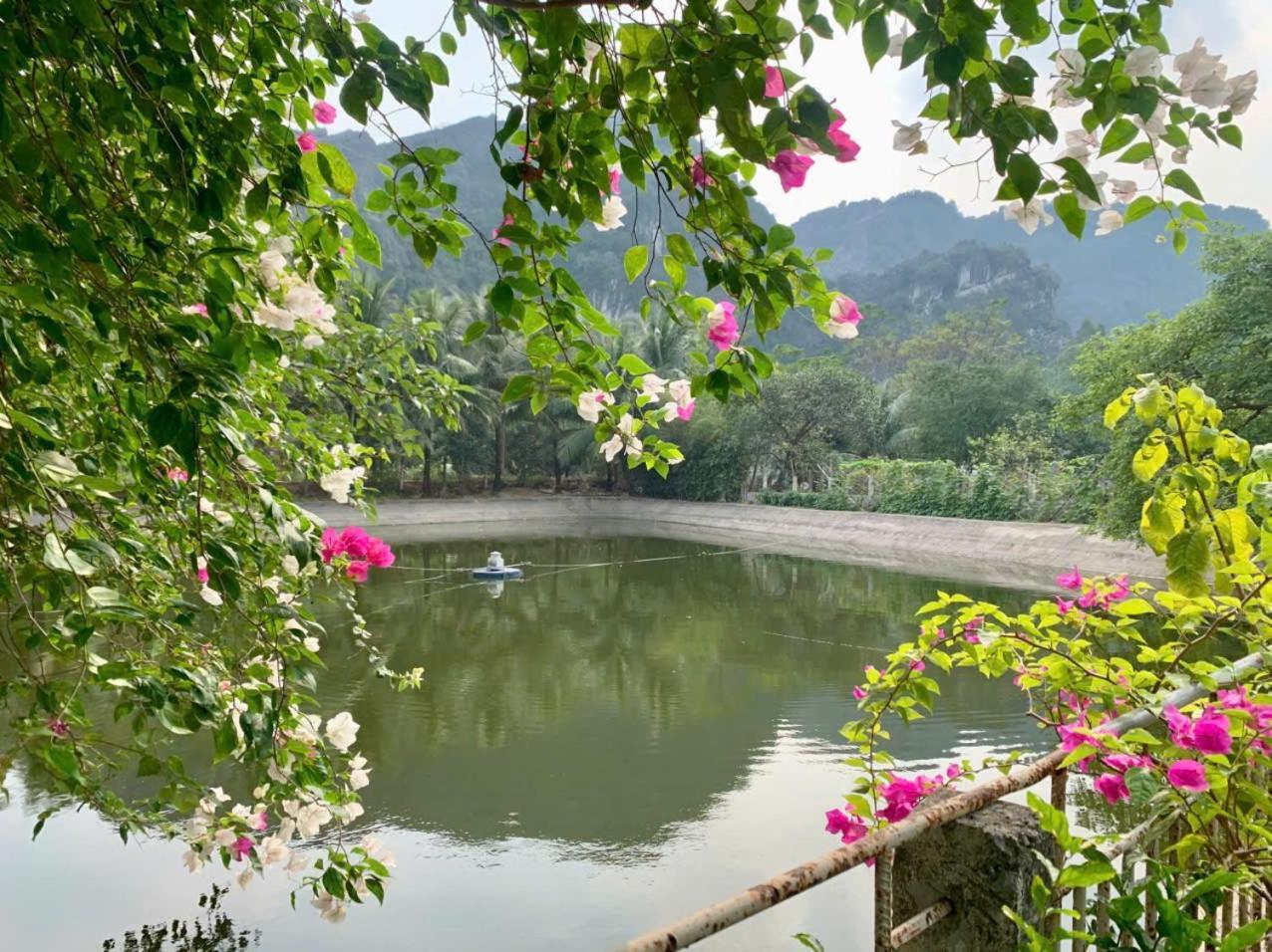 Blue Garden Homestay Ninh Binh Exterior photo