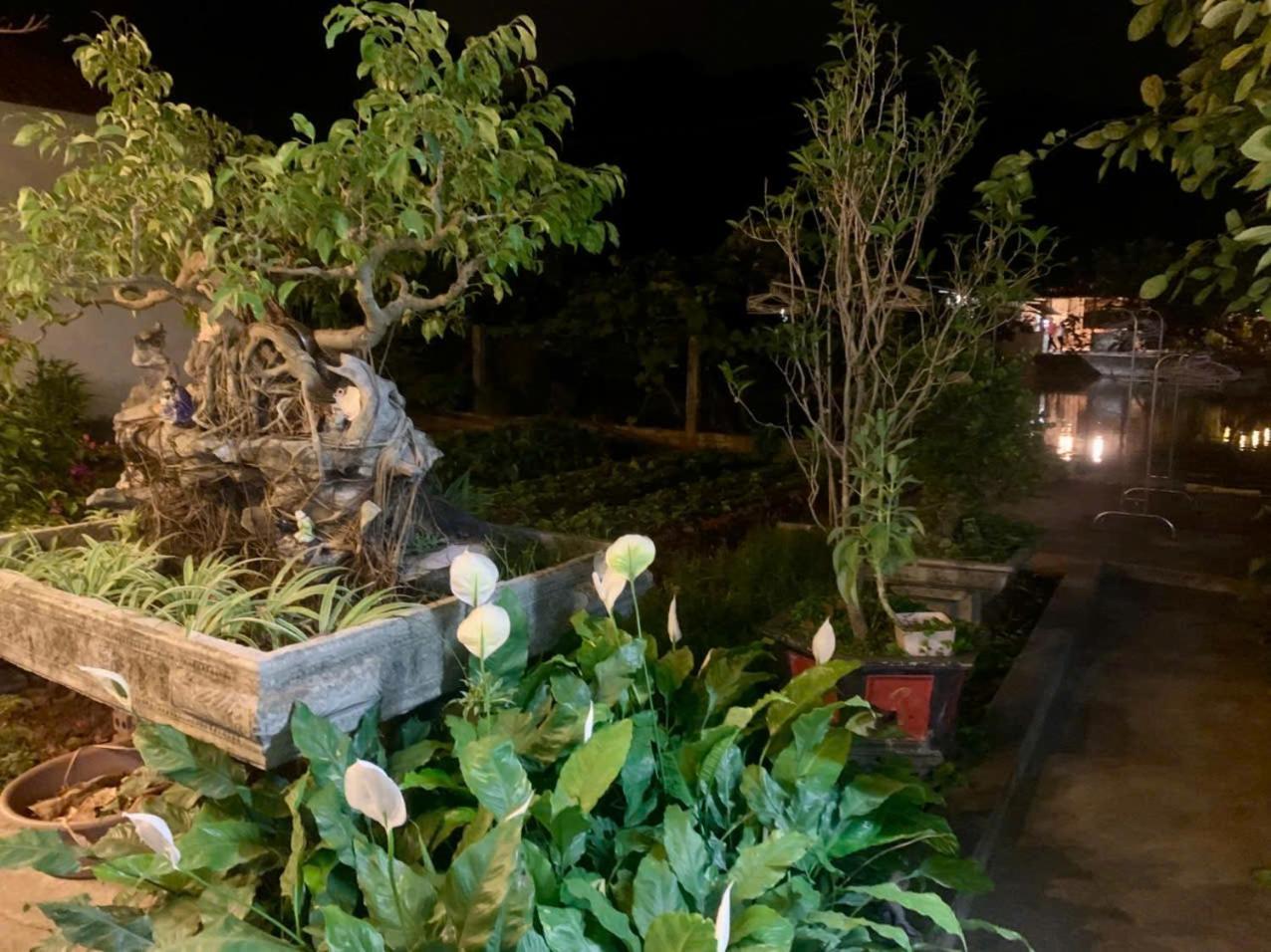 Blue Garden Homestay Ninh Binh Exterior photo