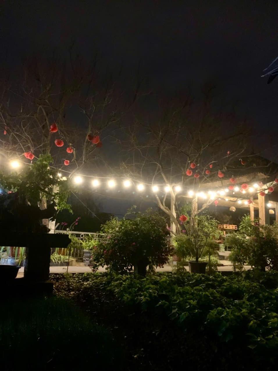 Blue Garden Homestay Ninh Binh Exterior photo