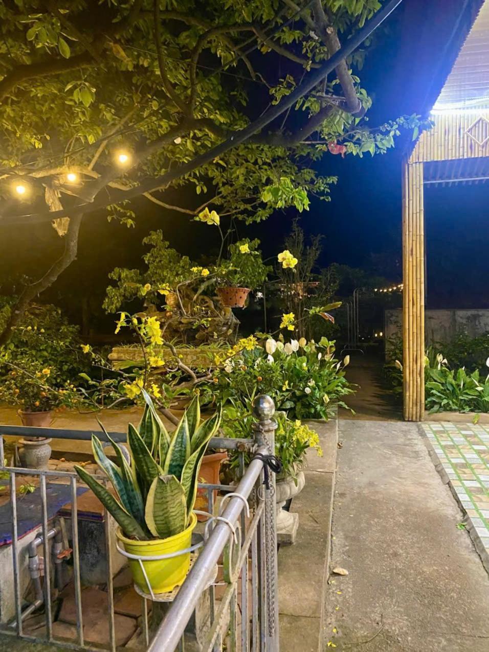 Blue Garden Homestay Ninh Binh Exterior photo