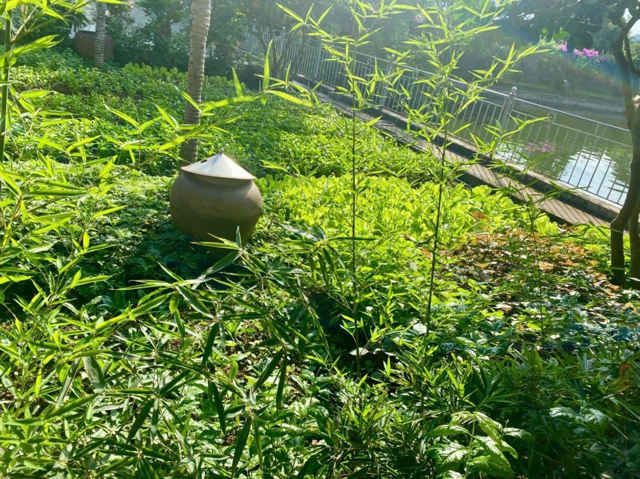 Blue Garden Homestay Ninh Binh Exterior photo